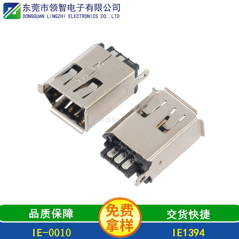 IEEE 1394-IE-0010